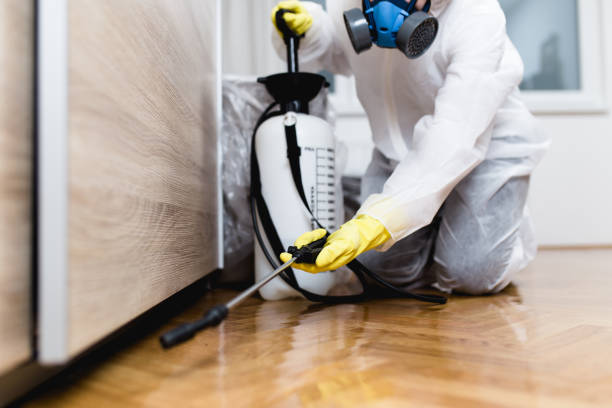 Best Mosquito Control Services  in Vance, AL