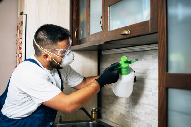 Best Pest Control Near Me  in Vance, AL