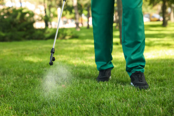 Best Cockroach Control Services  in Vance, AL
