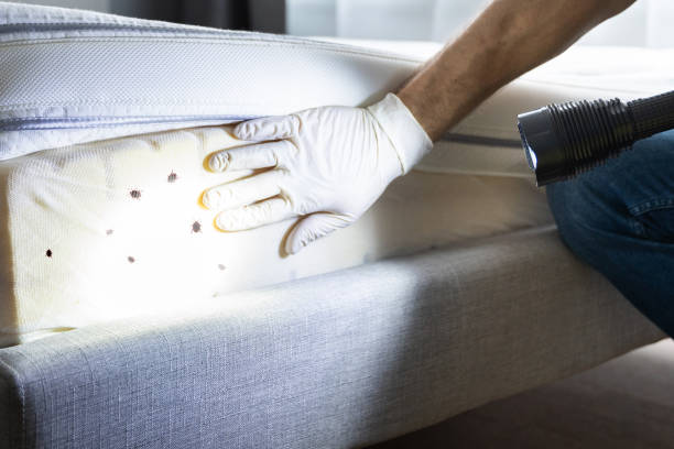 Best Emergency Pest Control  in Vance, AL