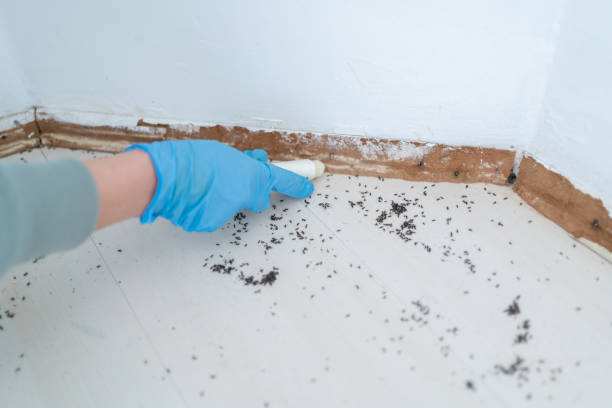 Best Affordable Pest Control Services  in Vance, AL
